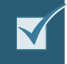 check-icon